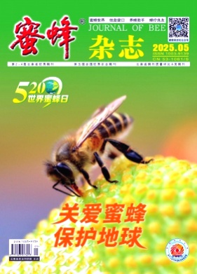 蜜蜂杂志杂志